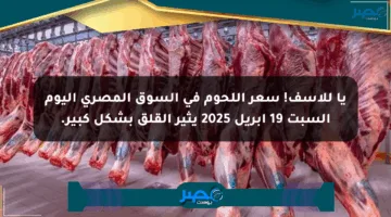 يا للأسف! سعر اللحوم في السوق المصري اليوم السبت 19 أبريل 2025 يثير القلق بشكل كبير.